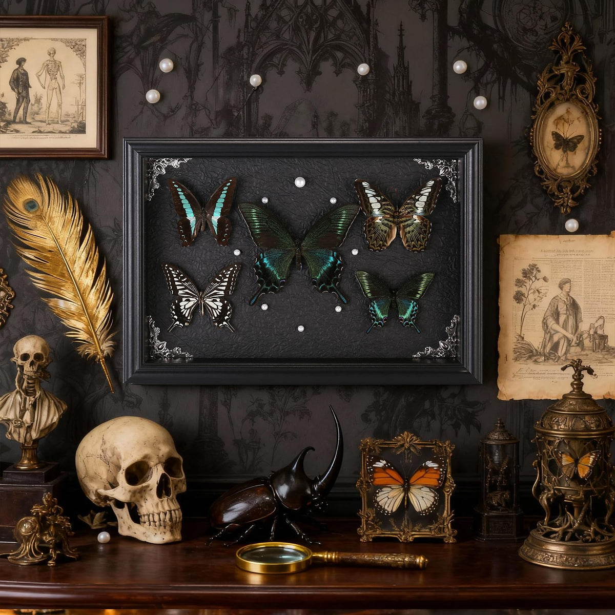 Real Framed Butterfly Taxidermy Collection - Duxjaqu Official Imagery - 6