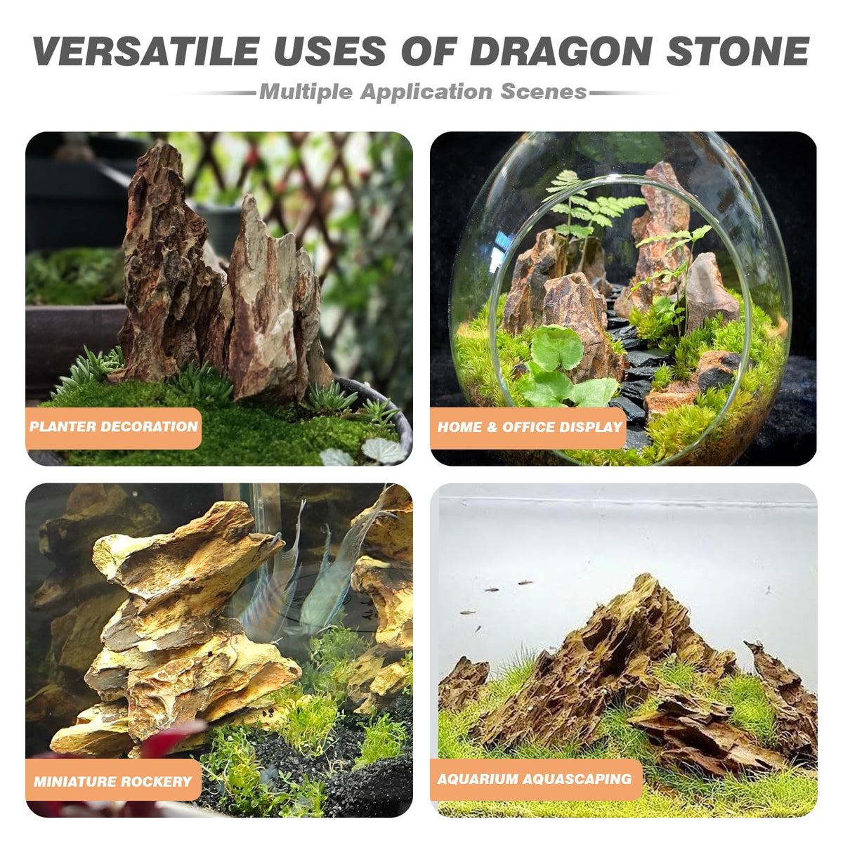 Aquarium Rock Dragon Stones 5lb Natural Rock for Fish Tank 2 - Unocho Official Imagery - 5