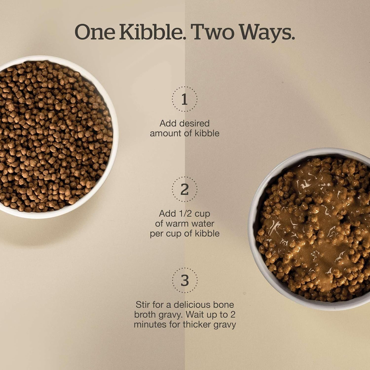 Now Fresh grain-free dry cat food with salmon in a 3 lb bag, healthy kibble for cats.