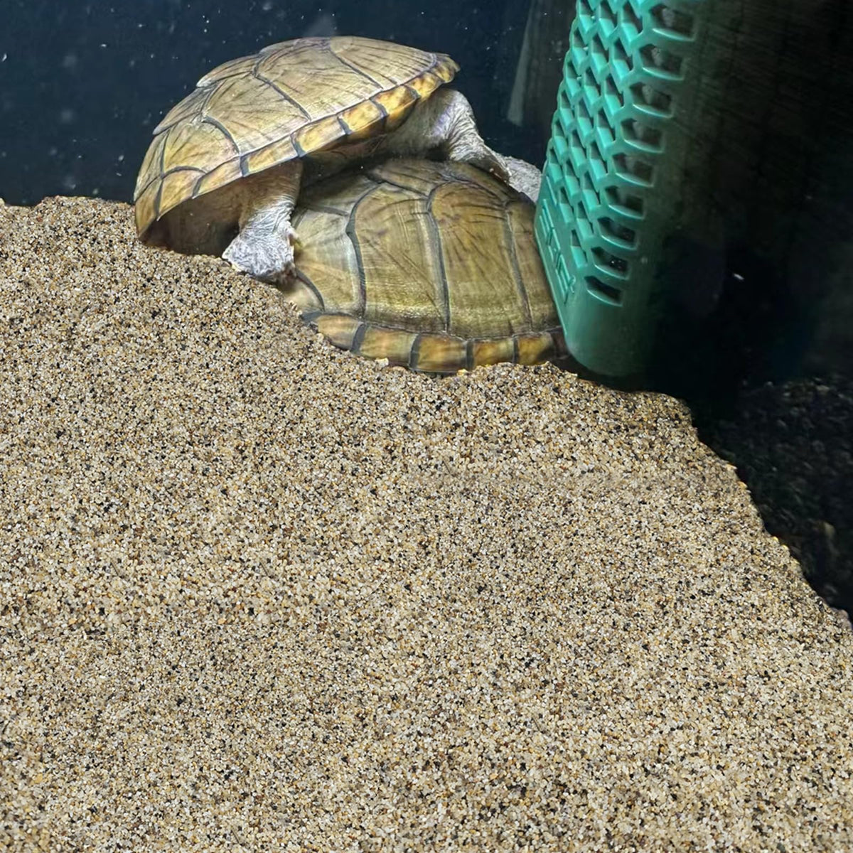 Aquarium Sand for Freshwater Tank 20 lbs Turtle Sand - FANTIAN Official Imagery - 6