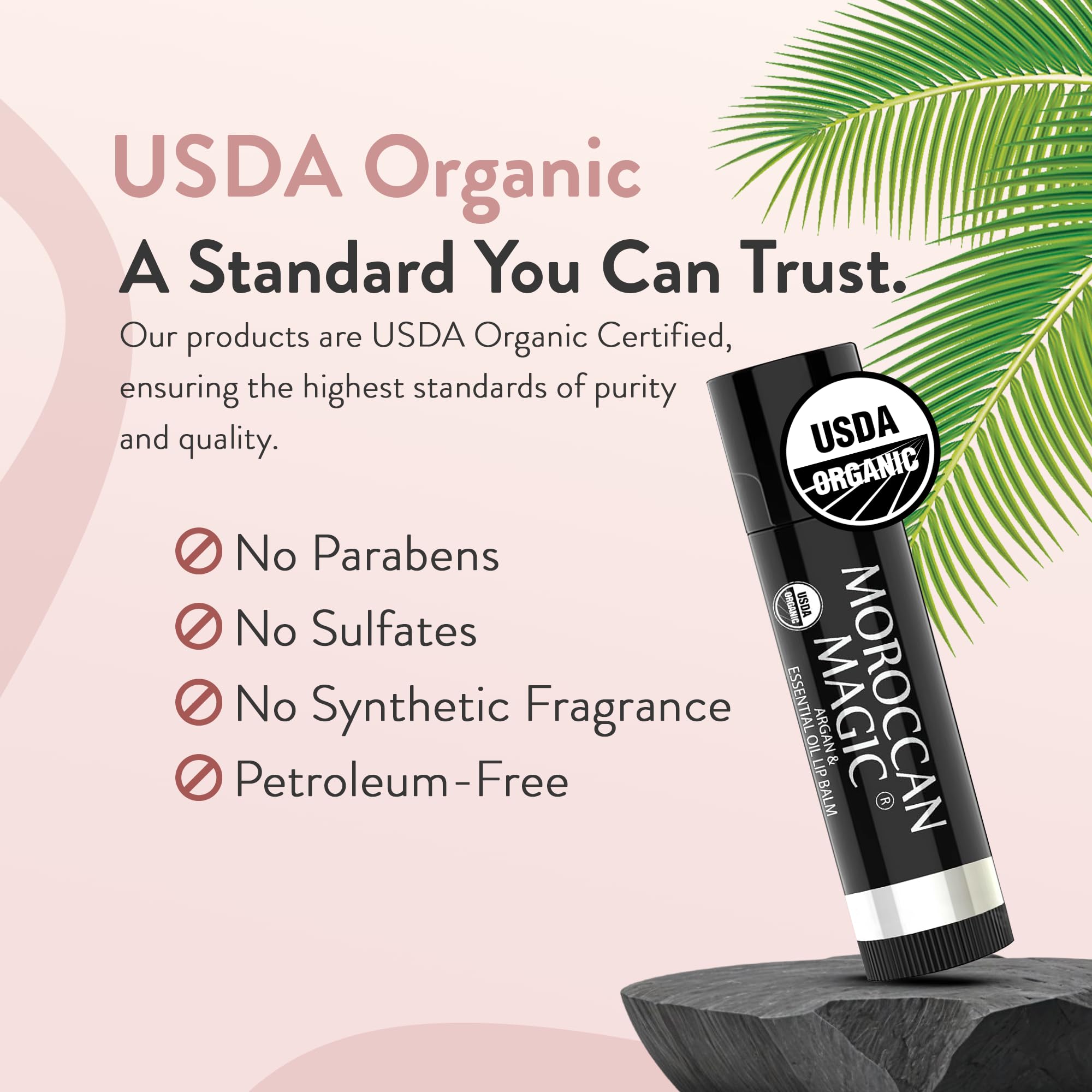 Moroccan Magic Organic Lip Balm 5 Piece Variety Pack Gift Set | Ultra-Hydrating Argan & Essential Oil Lip Moisturizer + Vitamin E | Smooth | Natural | Non-Toxic | Cruelty Free | 5 Pack - Moroccan Magic Official Product View 5
