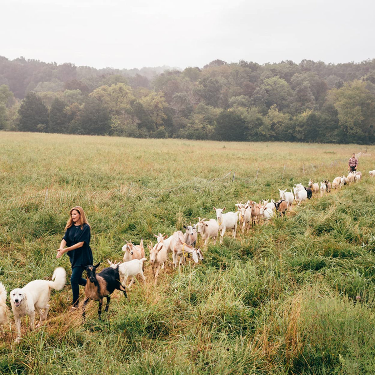 Little Seed Farm Organic Goat s Milk Soap - Little Seed Farm Official Imagery - 6