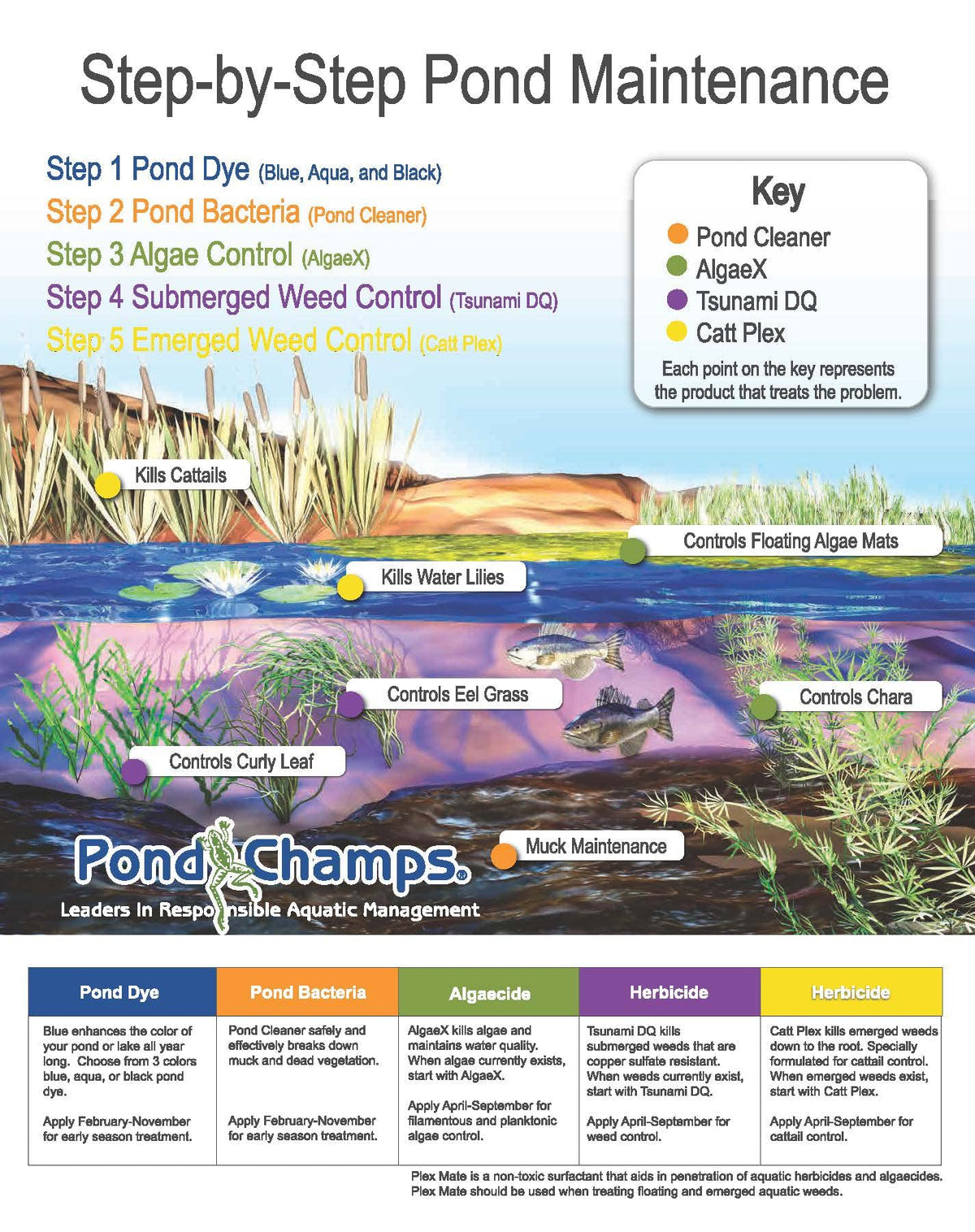 Blue Lake and Pond Dye - Pond Champs Official Imagery - 8