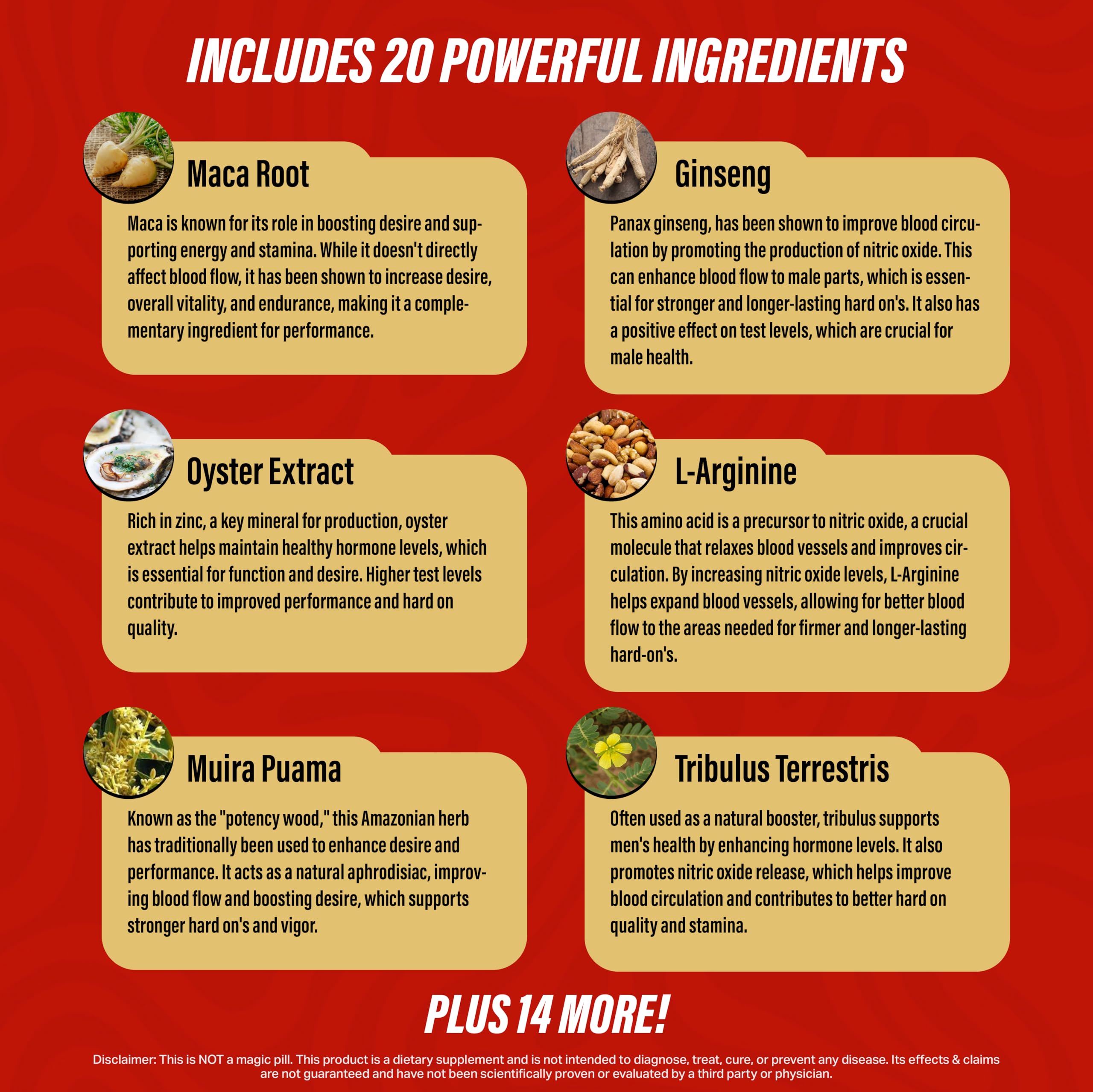Erect Surge™ Male Performance Support – 60 Pills
