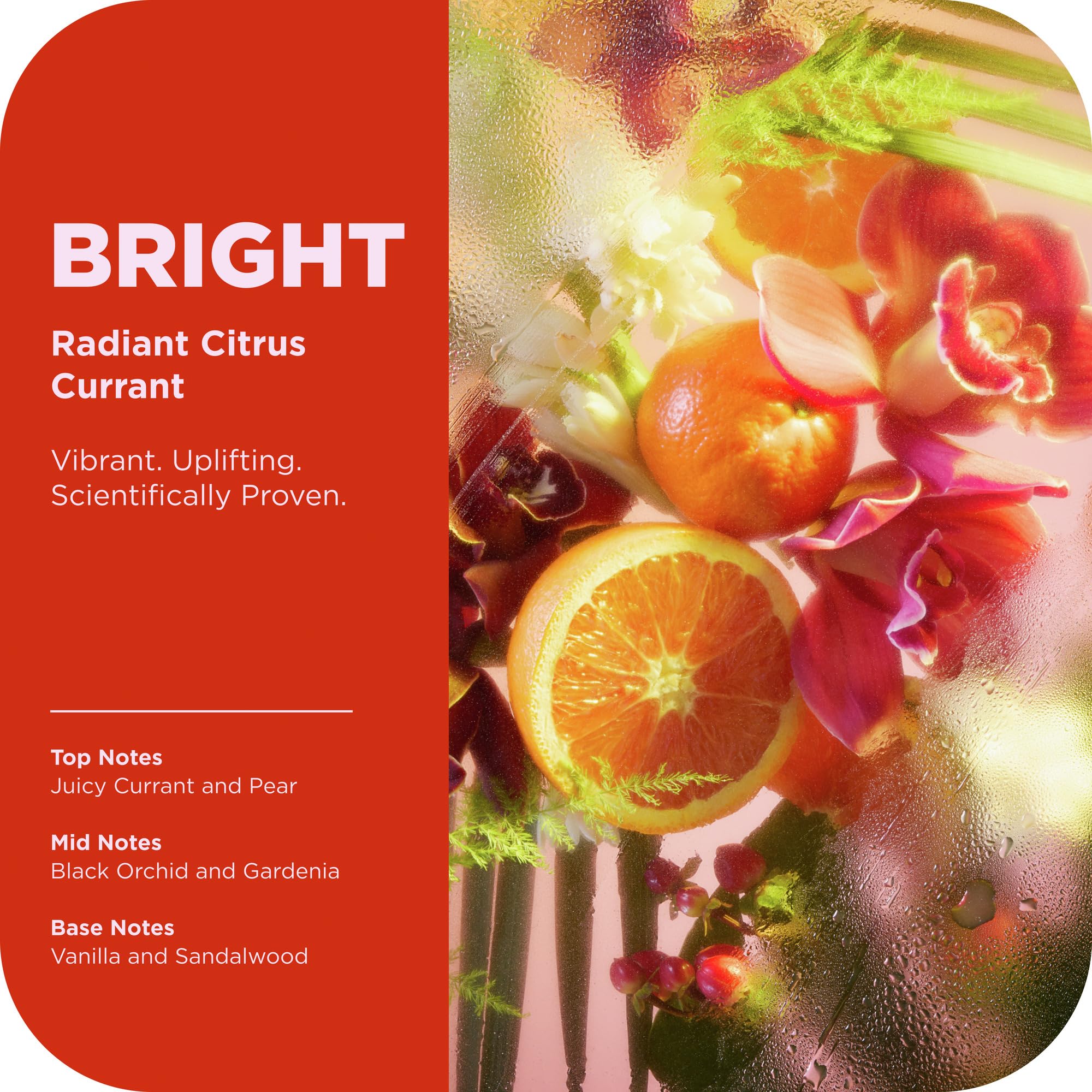 OLLY Bright Body Scrub with Ginseng, Caffeine & Vitamin C– Nourishing Cleanser - OLLY Official Product View 4