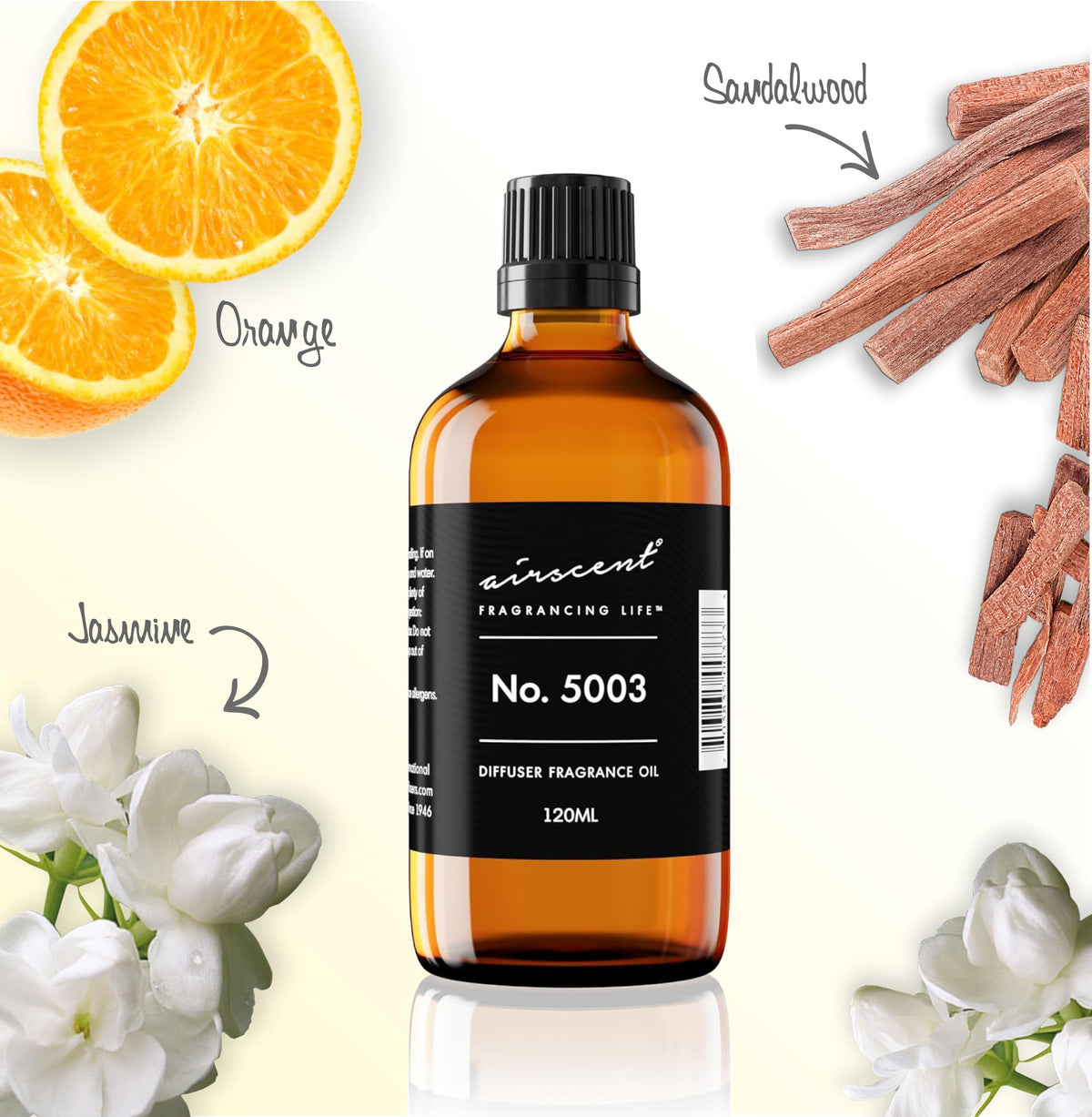 AirScent Perfume Dupe Diffuser Oil No 5003 - Air-Scent Official Imagery - 4
