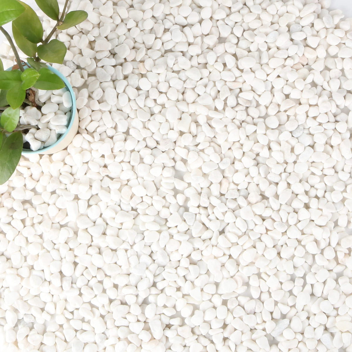 18 lb Bulk Bag White Pebbles 1 2 Size Aquarium Gravel - Anothera Official Imagery - 1