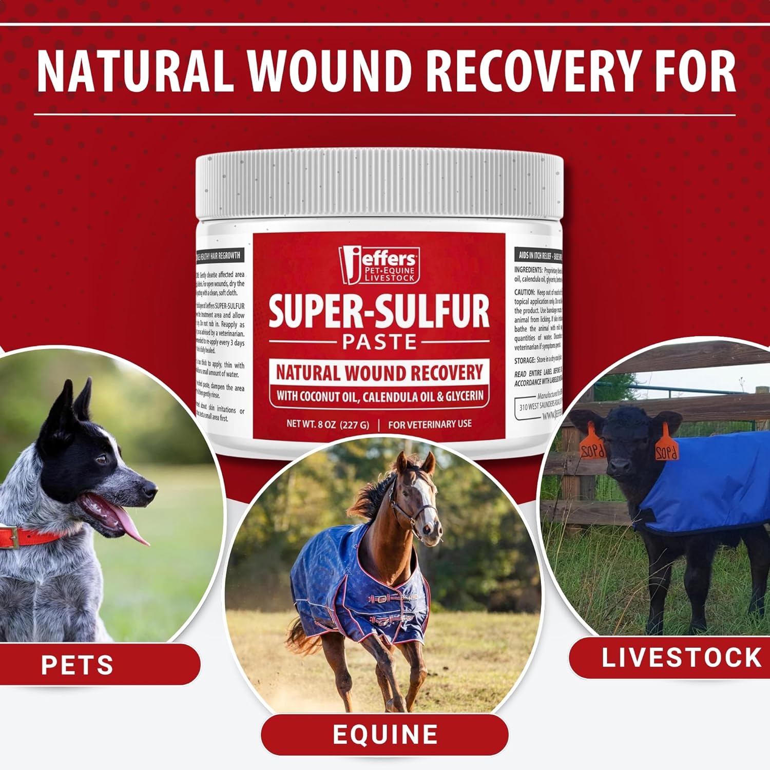 Jeffers Super Sulfur natural healing paste for dogs, cats, and horses in 8 oz jar, used for wound care and skin healing.
