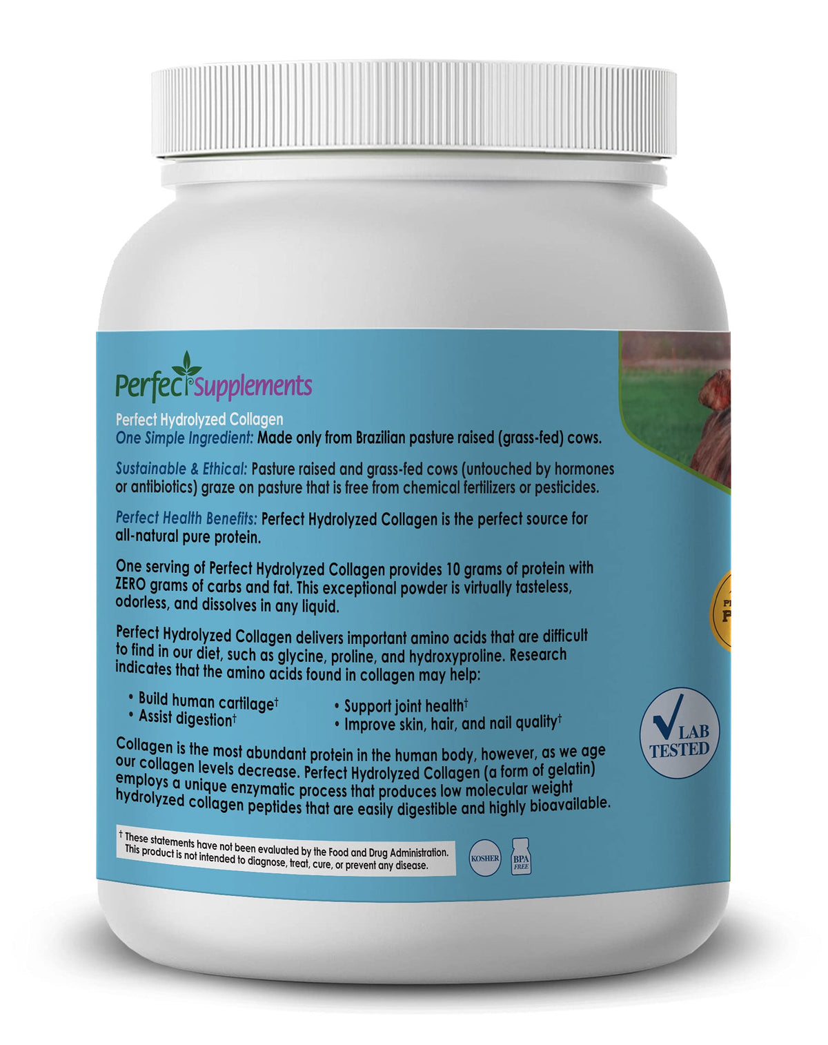 Perfect Supplements Perfect Hydrolyzed Collagen Powder 660 - Perfect Supplements Official Imagery - 4