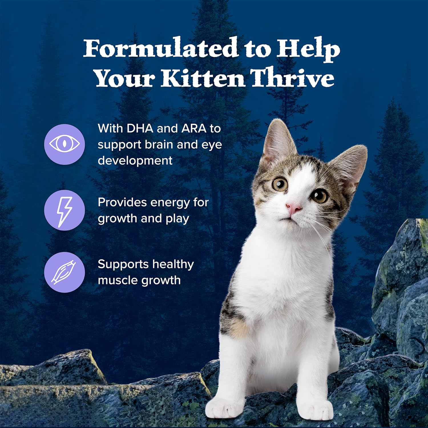 Blue Buffalo Wilderness natural kitten dry cat food bag with DHA and ARA, 5-pound bag, supporting brain and eye development.