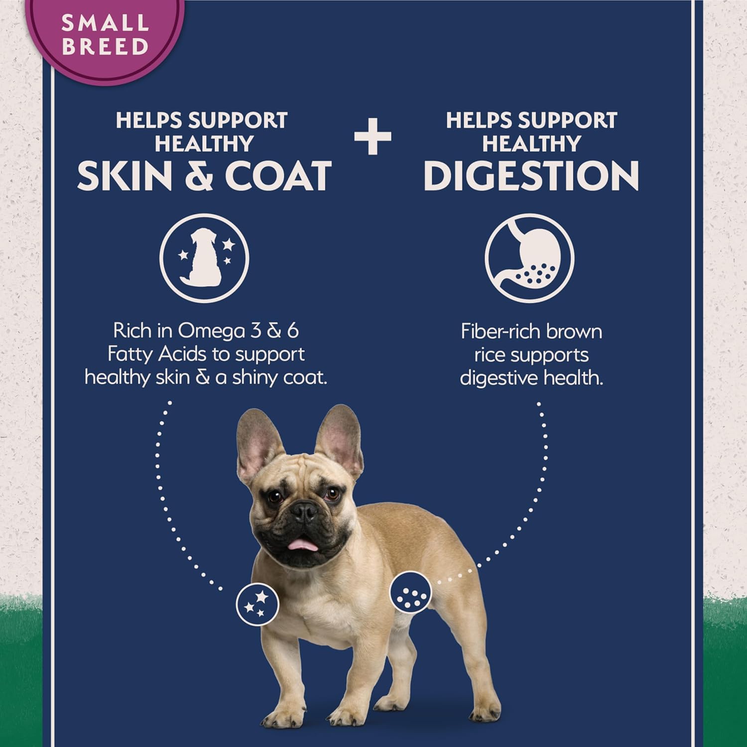 Natural Balance Limited Ingredient Small-Breed Adult Dry Dog Food bag, showing healthy formula for small breed dogs.