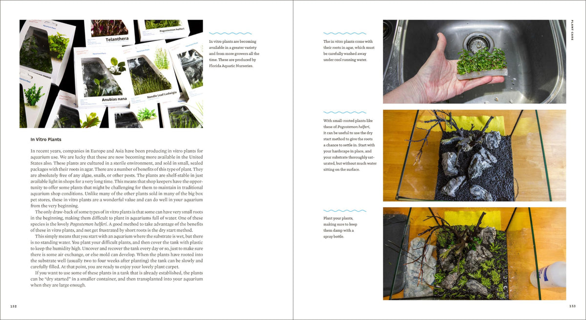 Sunken Gardens A Step by Step Guide to Planting Freshwater - by               
		   Karen A. Randall     
       			(Author) 
       	             Format: Paperback Official Imagery - 8