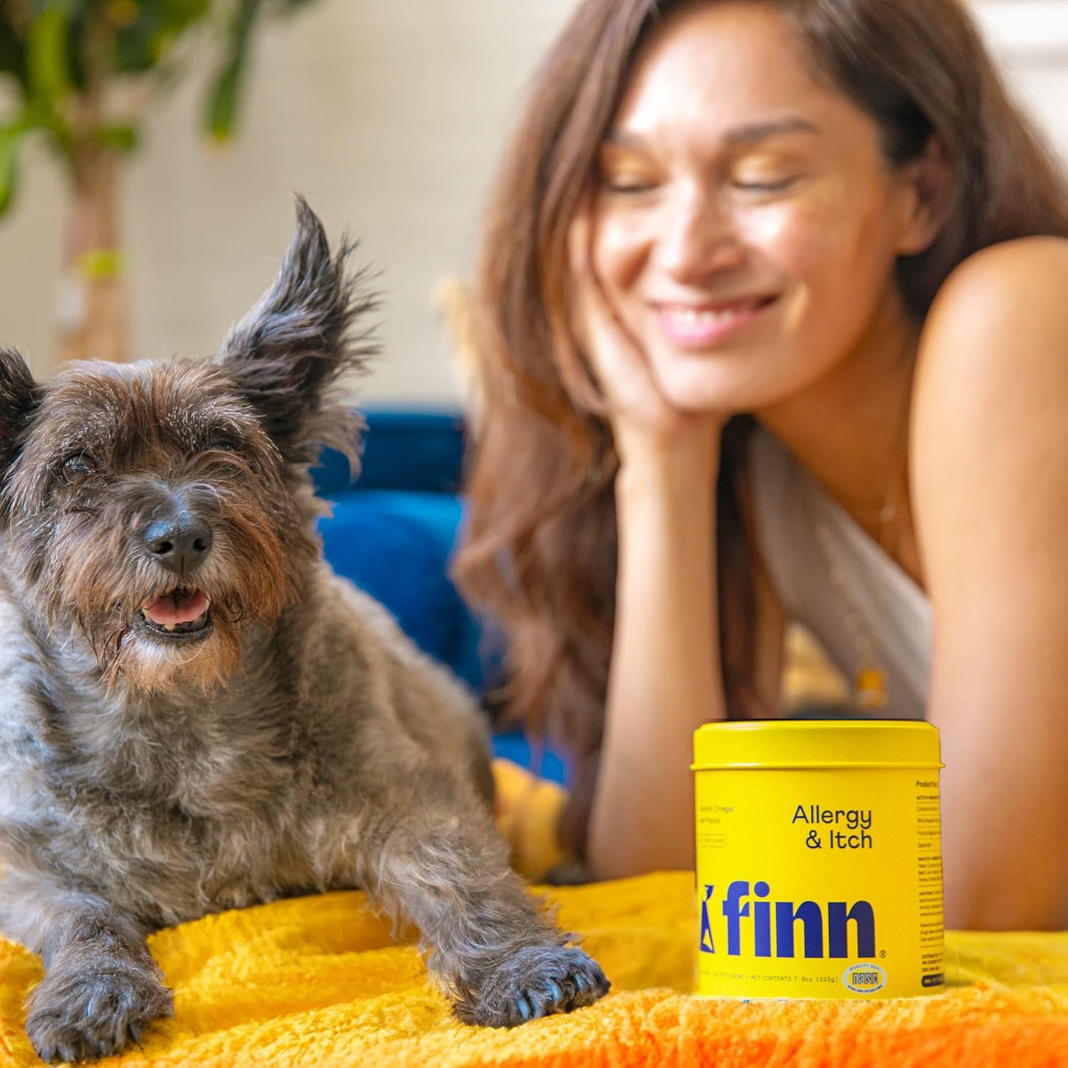 Finn Allergy & Itch for Dogs supplement bottle, daily support for itchy skin and immune health in a white and green container.
