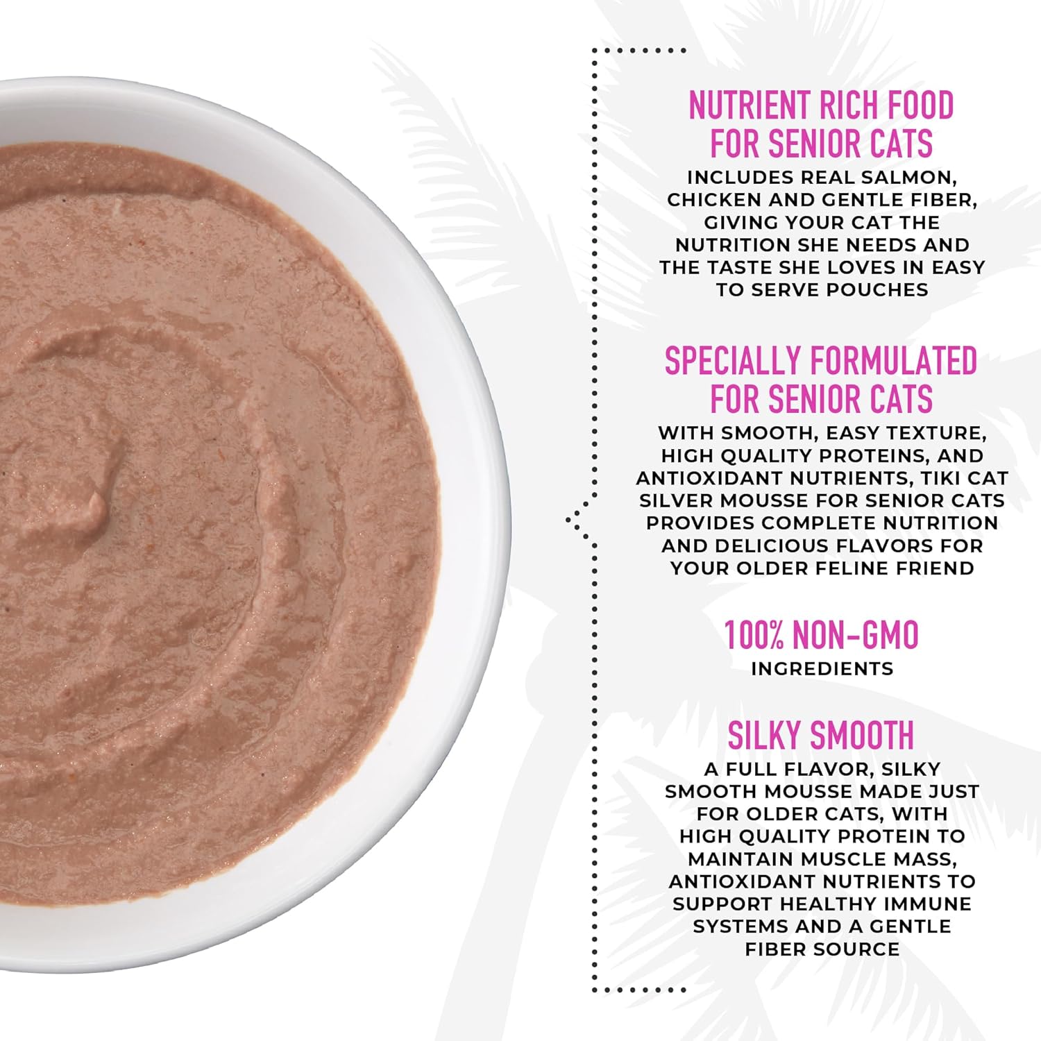 Tiki Cat Silver Mousse with salmon and pumpkin in broth, silky smooth pet food from TIKI PETS, served in a bowl