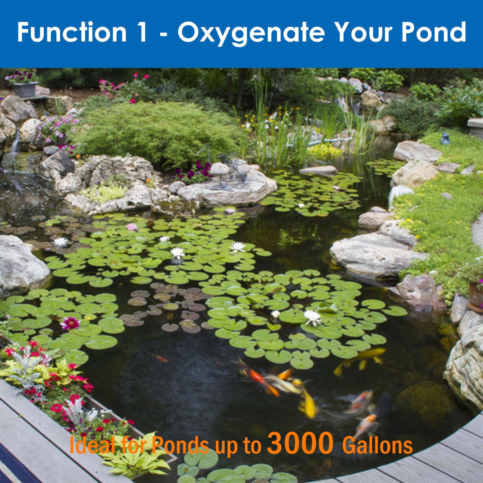 AquaMiracle All-in-One Koi Pond Aerator for Outdoor Ponds up to 3 - AquaMiracle Official Product View 5