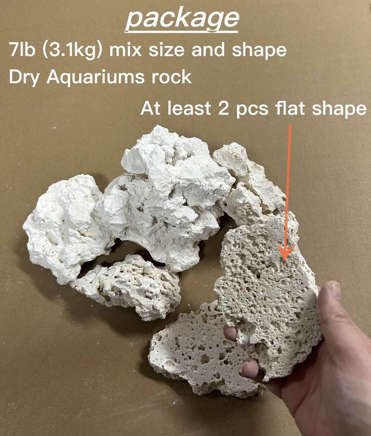 YZHZOM Dry Base Rock for Aquarium White Coral Ornament Sea - YZHZOM Official Imagery - 4