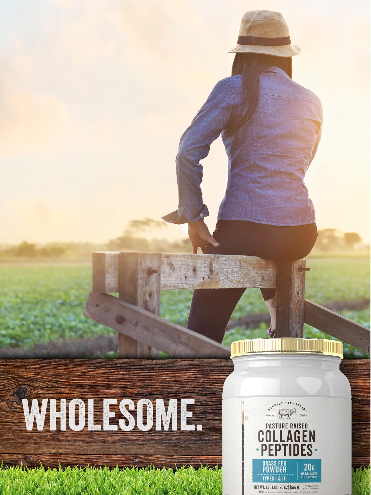 Carlyle Grass Fed Collagen Peptides Powder 20oz - Carlyle Official Imagery - 8