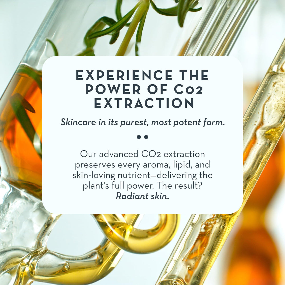 Gua Sha Oil for Face Care - The Organic Skin Co. Official Imagery - 6