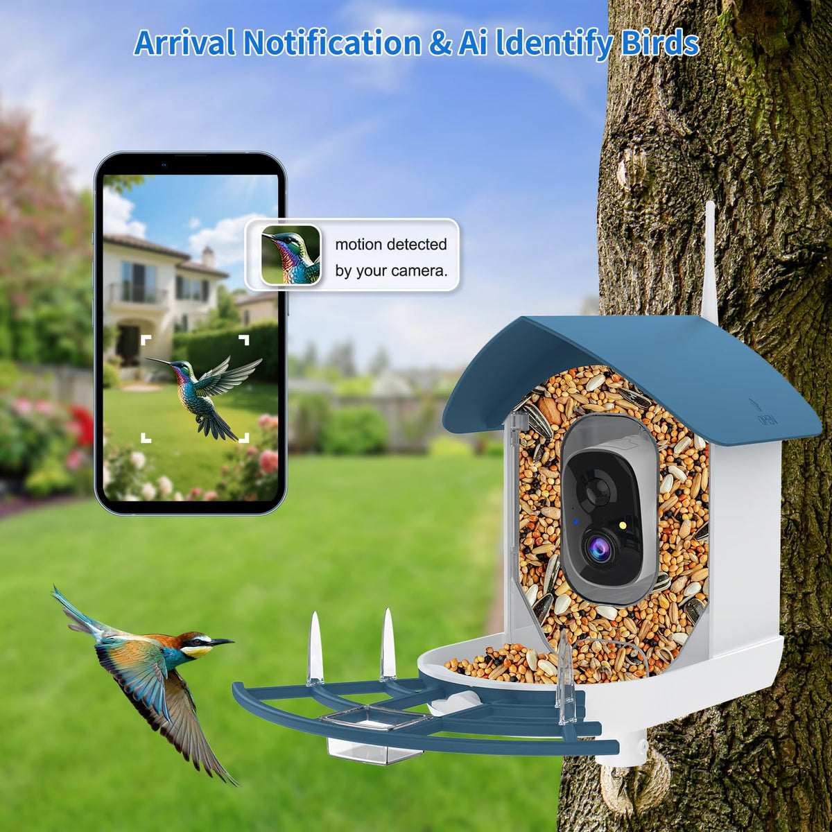 Bird Feeder with Camera Birds House Camera Solar Powered AI - Fazoxo Official Imagery - 4