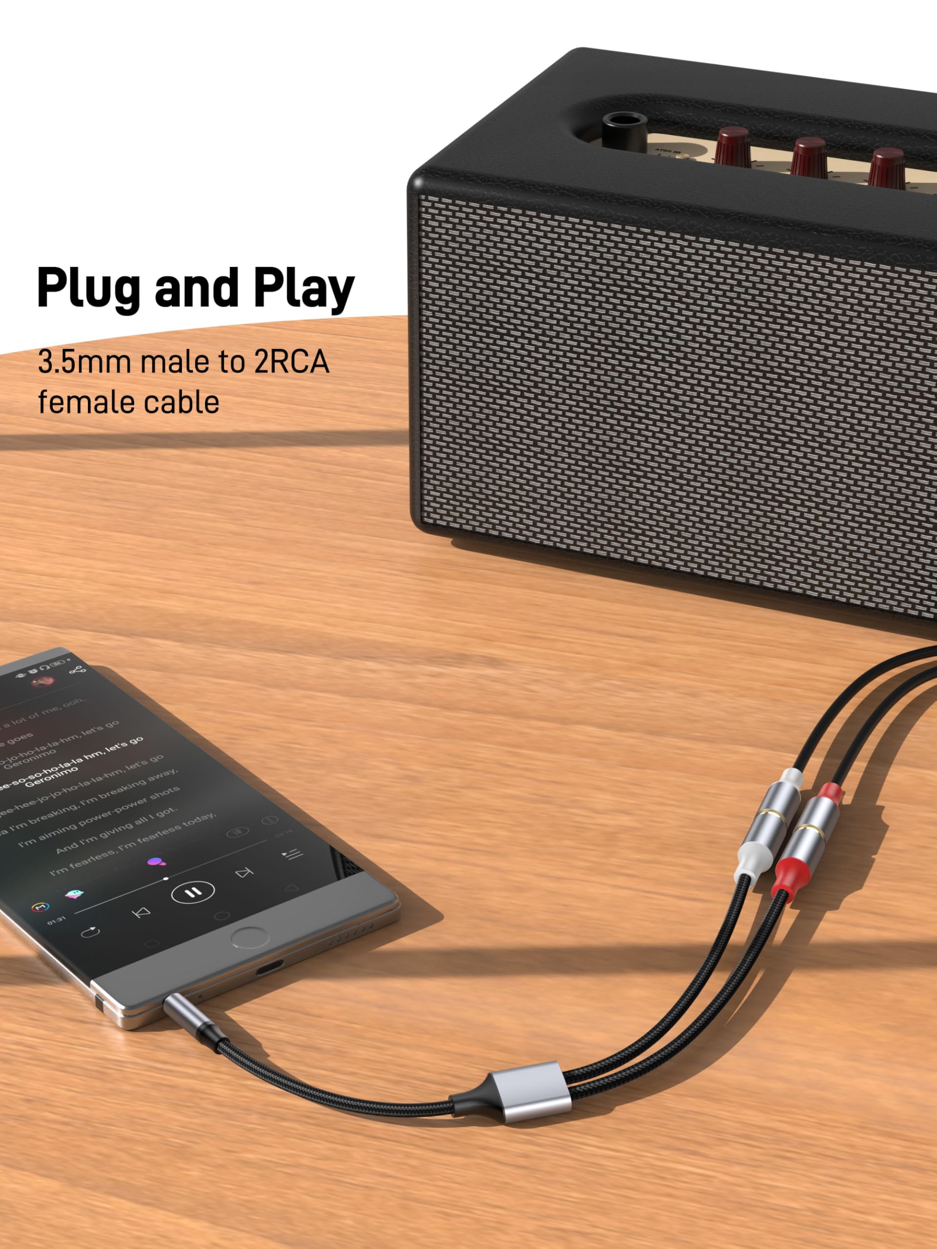 KAYQINHO 3.5mm to RCA Cable, 10 inch 3.5mm Auxiliary Male to 2RCA - KAYQINHO Official Product View 2