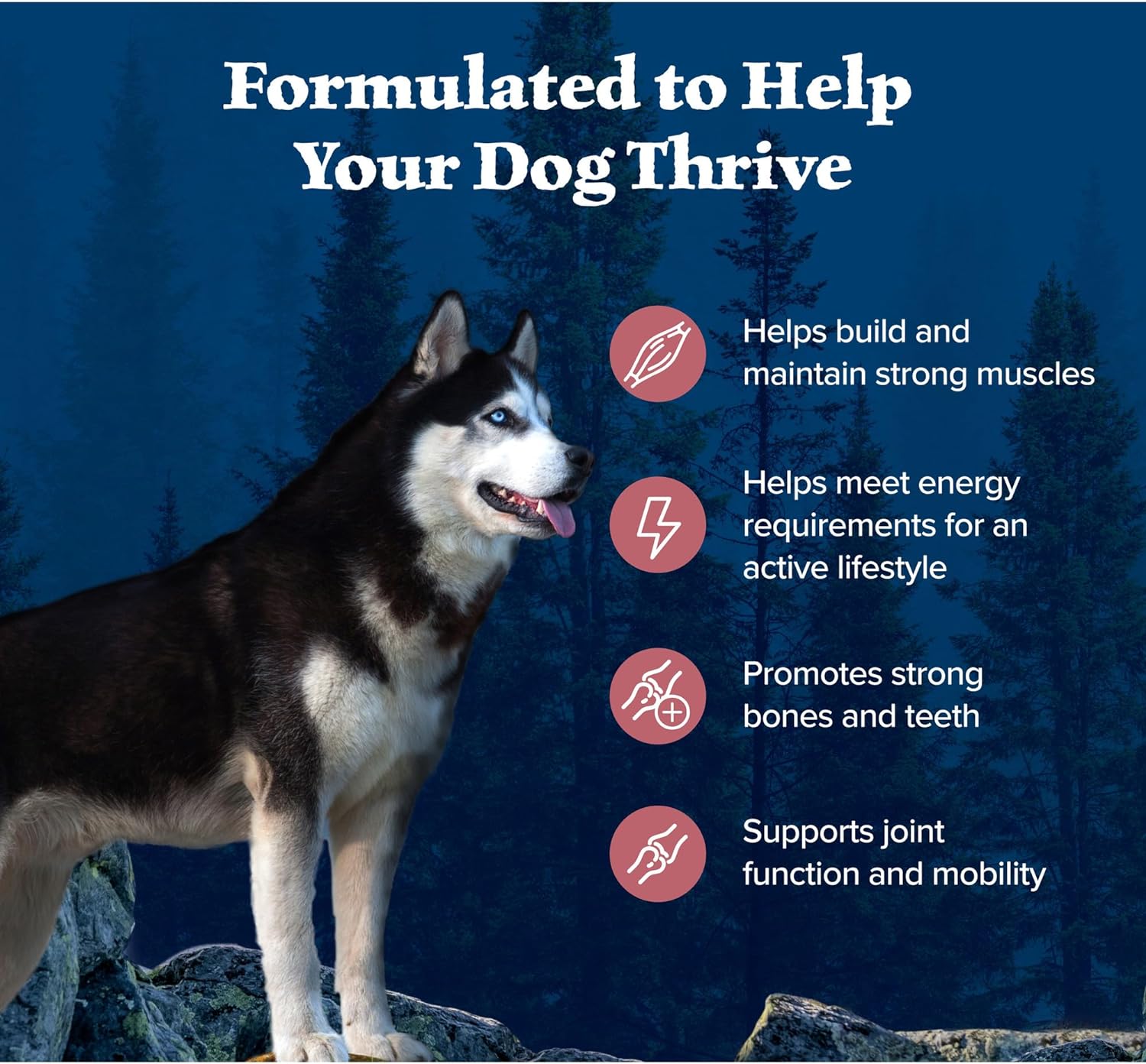 Blue Buffalo Wilderness adult dog food bag showing salmon flavor, high-protein dry formula in a 4.5-pound package.