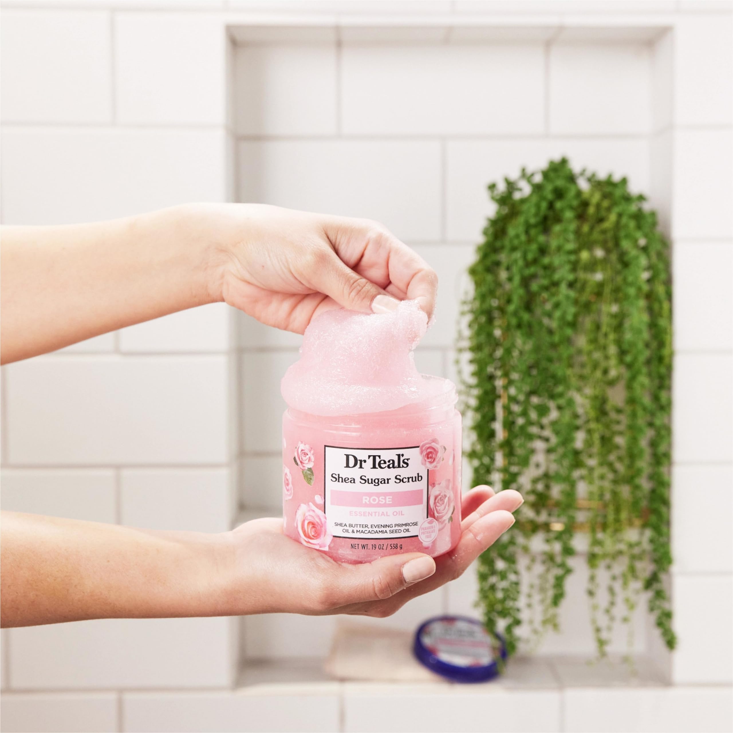 Dr Teal s Shea Sugar Body Scrub Rose with Essential Oil 19 - Dr Teal's Official Imagery - 7
