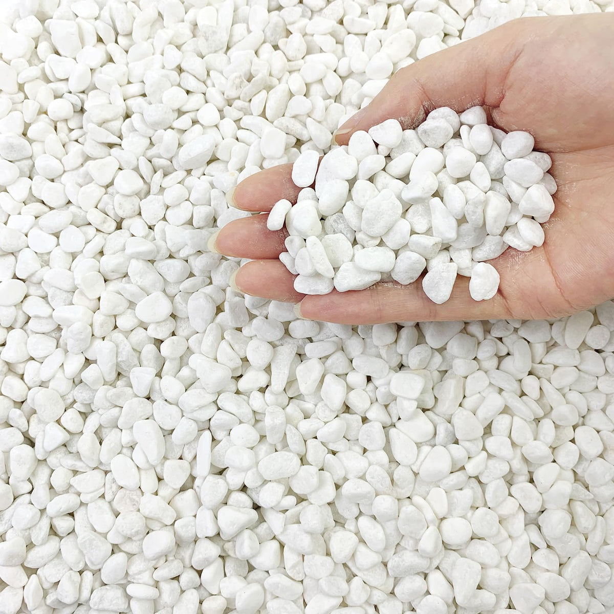 10 lb White Pea Gravel for Landscaping 3 8 Inch Pebble for - FANTIAN Official Imagery - 1