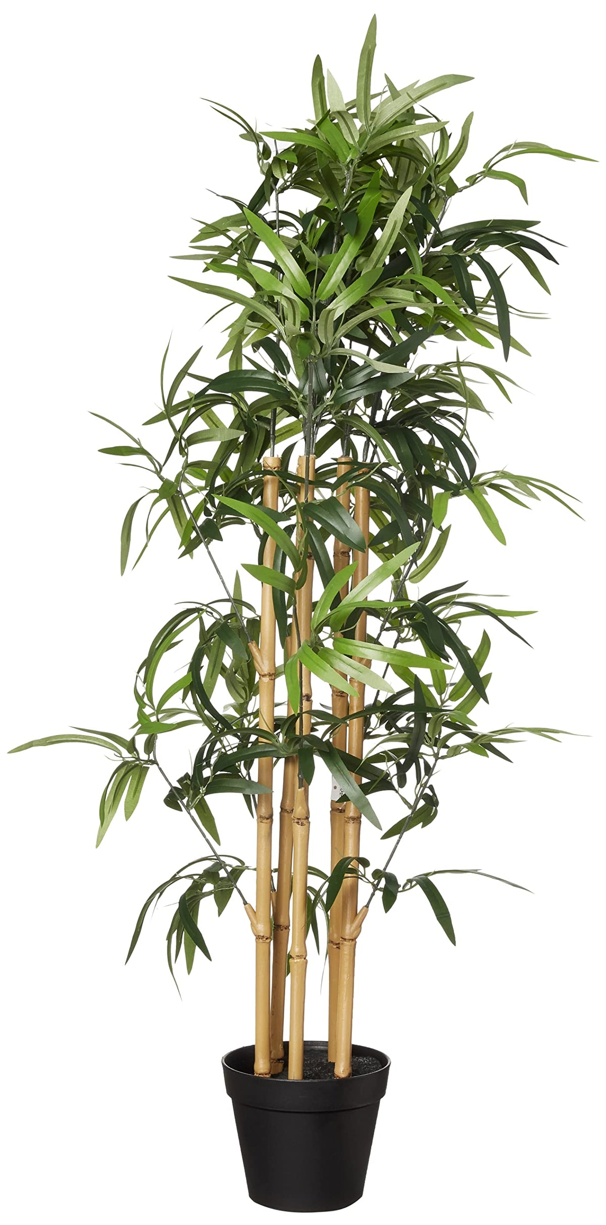 Amazon Basics Artificial Bamboo Plant with Plastic Planter - Amazon Basics Official Imagery - 1