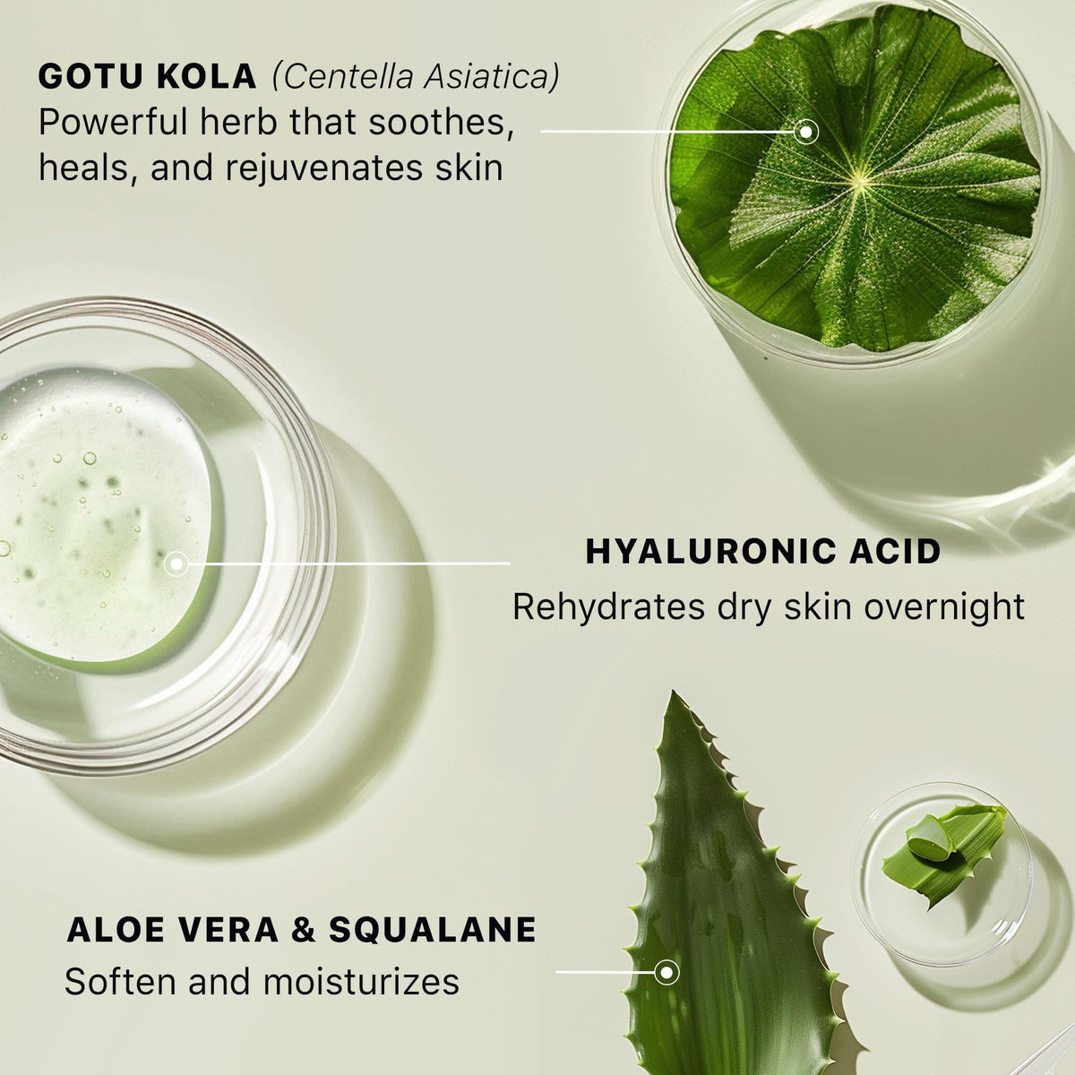 Hyaluronic Acid Moisturizer for Face - Beauty by Earth Official Imagery - 6