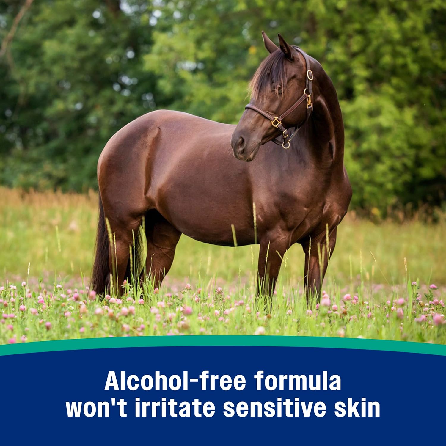 Farnam Nature’s Defense Concentrate water-based botanical fly repellent in a 32 oz bottle, with natural plant ingredients.