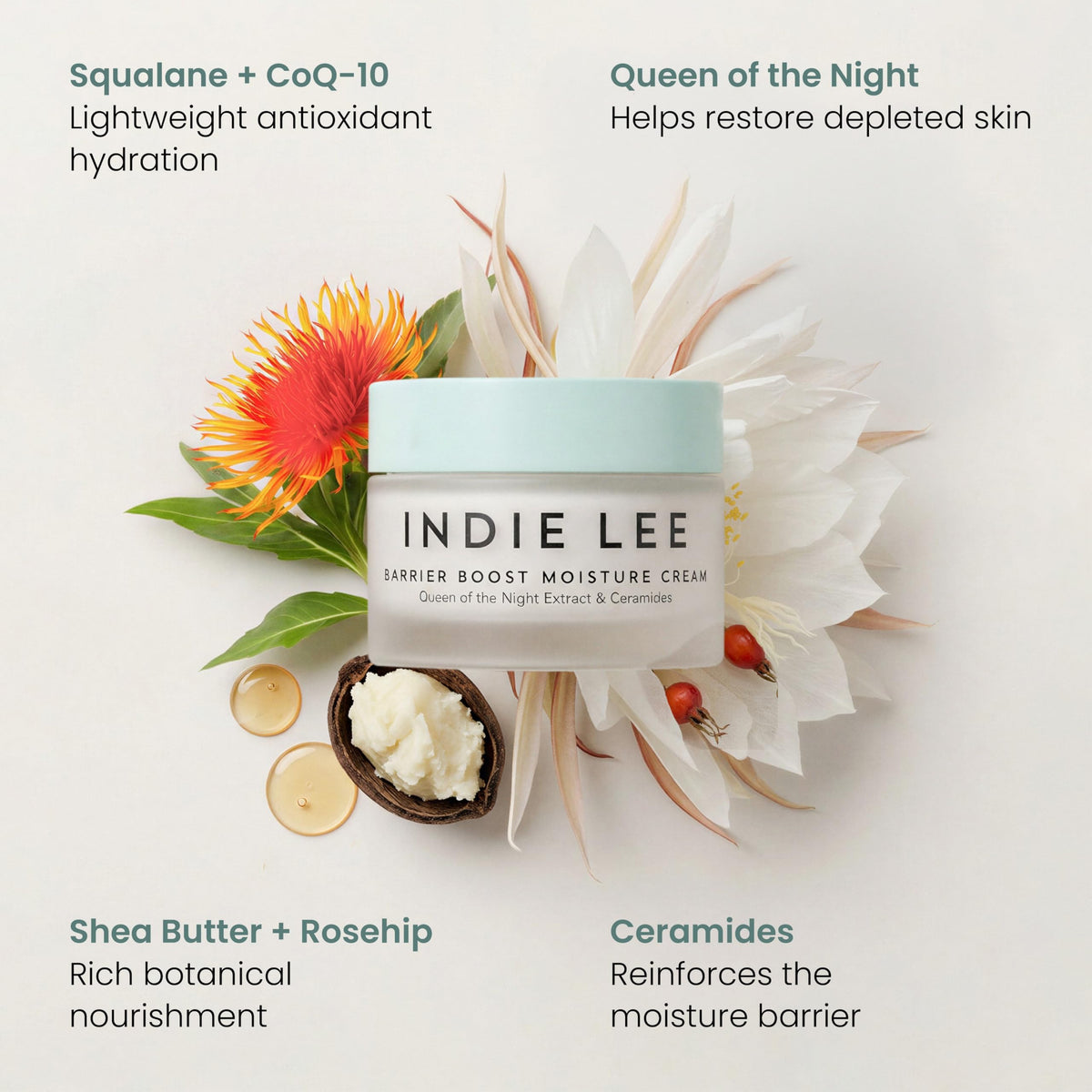 Indie Lee Barrier Boost Moisture Cream 50ml - Indie Lee Official Imagery - 4