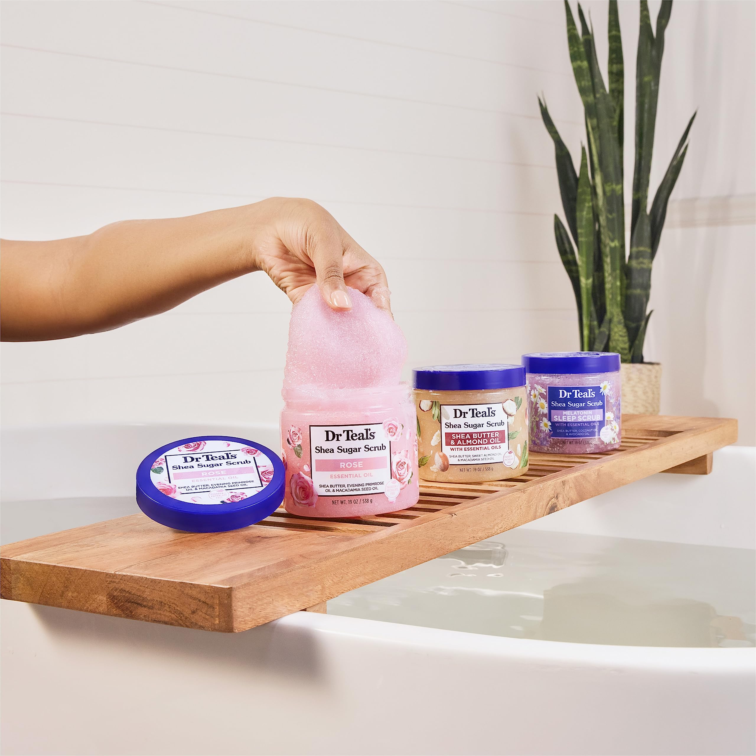 Dr Teal s Shea Sugar Body Scrub Rose with Essential Oil 19 - Dr Teal's Official Imagery - 6
