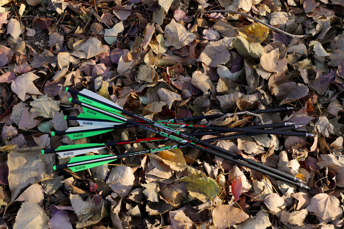 Crossbow Bolts 20 22 Inch Carbon Archery Arrows 12 Pack and - LWANO Official Imagery - 8