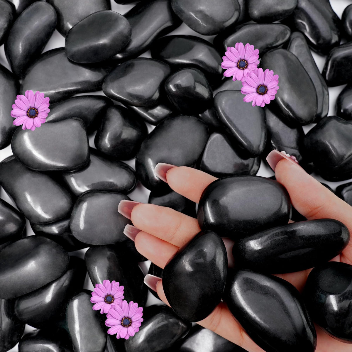 NUPICK 16lb Black River Rocks 1 2 Inch Pebbles for Indoor - NUPICK Official Imagery - 2