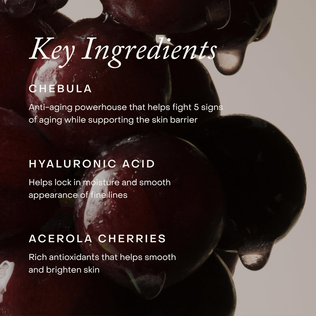 True Botanicals Chebula Extreme Cream with Hyaluronic Acid 1 - True Botanicals Official Imagery - 6