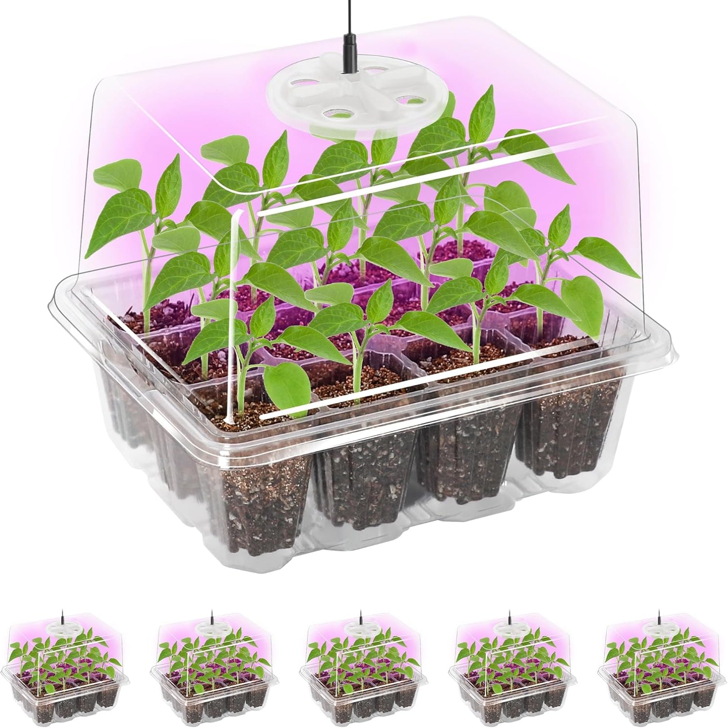 Bonviee 5-pack seed starter tray with grow light for seedlings, featuring elevated design for healthy plant growth.