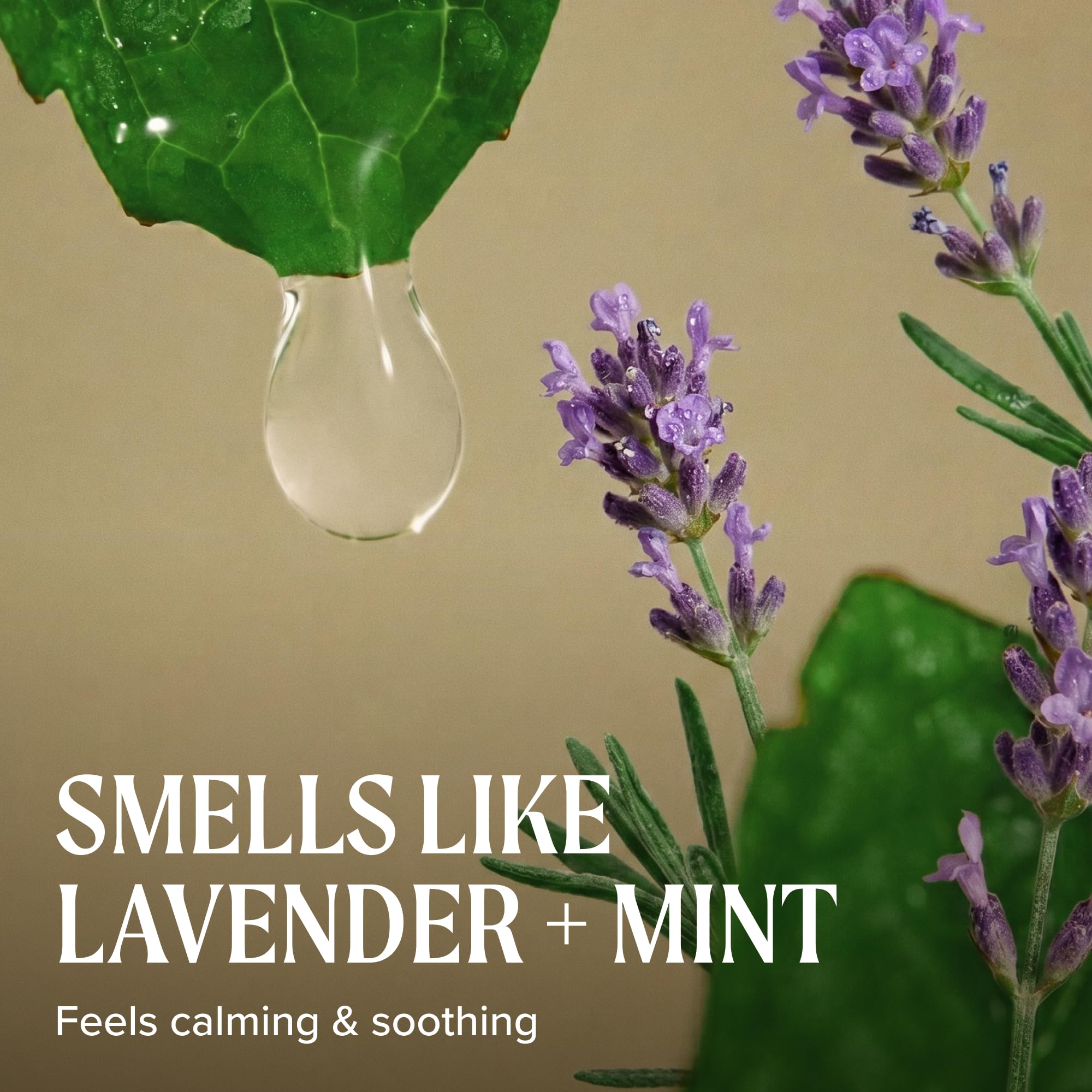 Tea Tree Lavender Mint Moisture Milk, Leave-In Conditioner, For Coarse, Curly + Dry Hair, 3.4 fl. oz.
