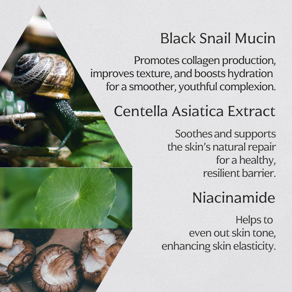 MIZON Black Snail All in One Cream 2 54 fl oz - MIZON Official Imagery - 7
