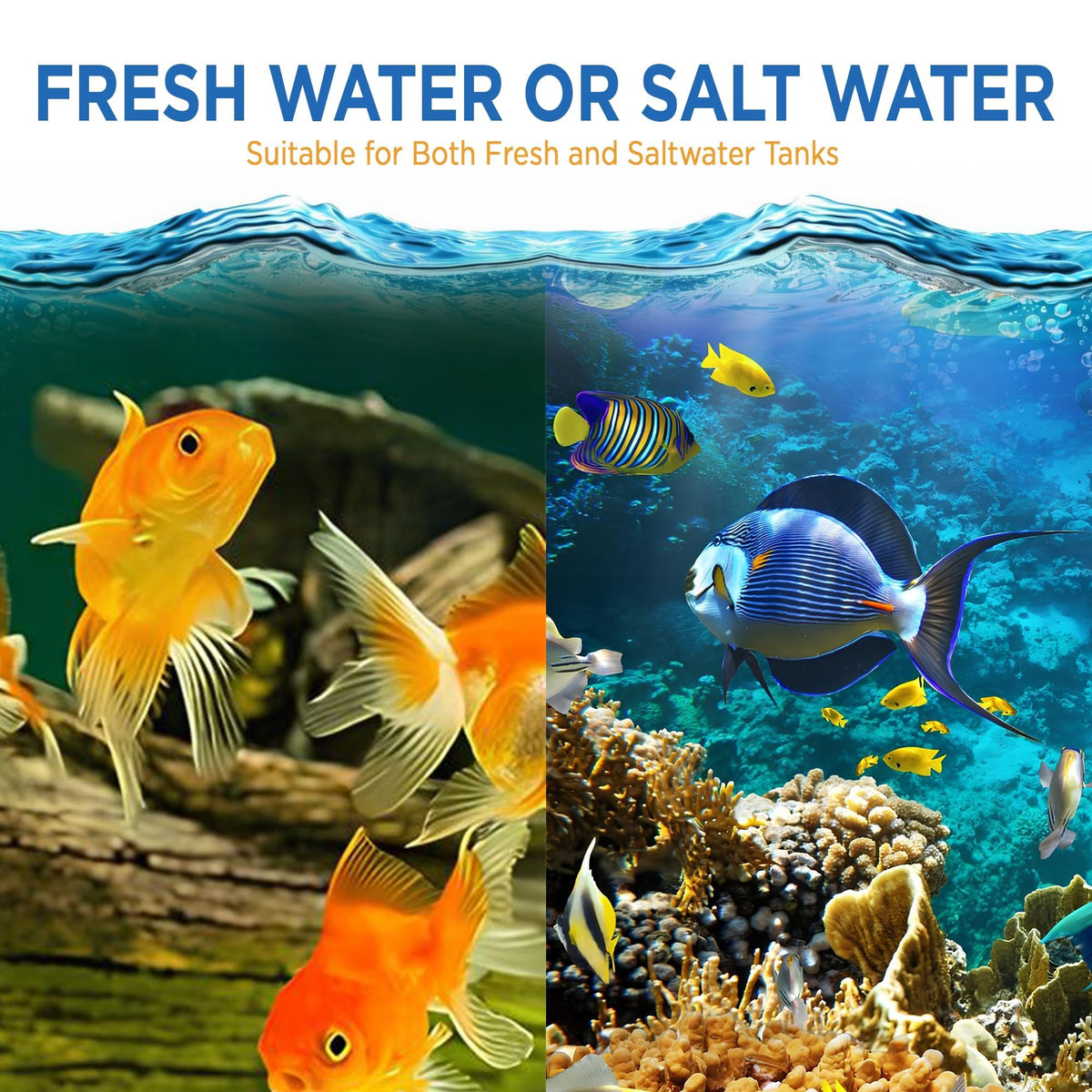 Fish Tank Rocks for Enhancing Water Clarity with Your - Magic Tank Rock Official Imagery - 6