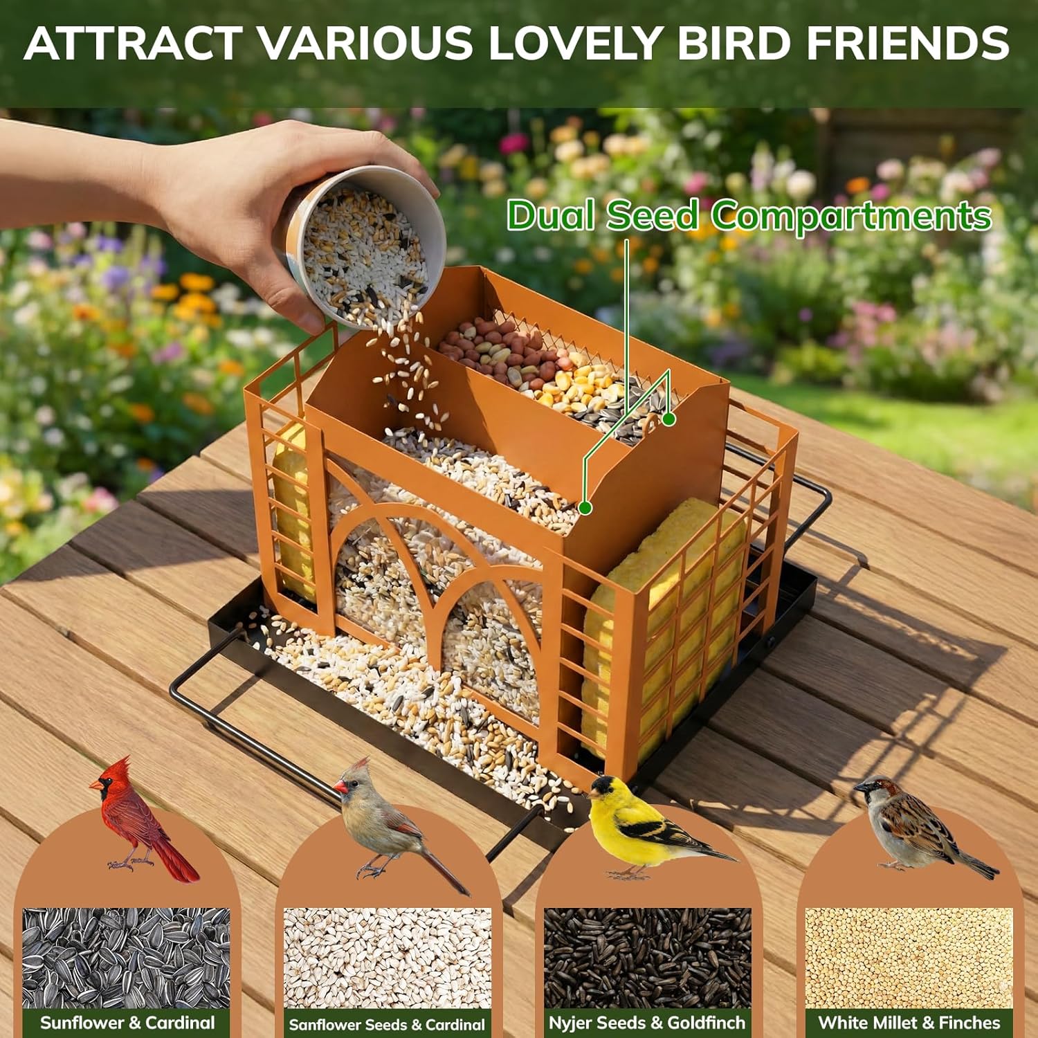 Grete Gotye outdoor hanging bird feeder with double suet cages and metal design for attracting wild birds