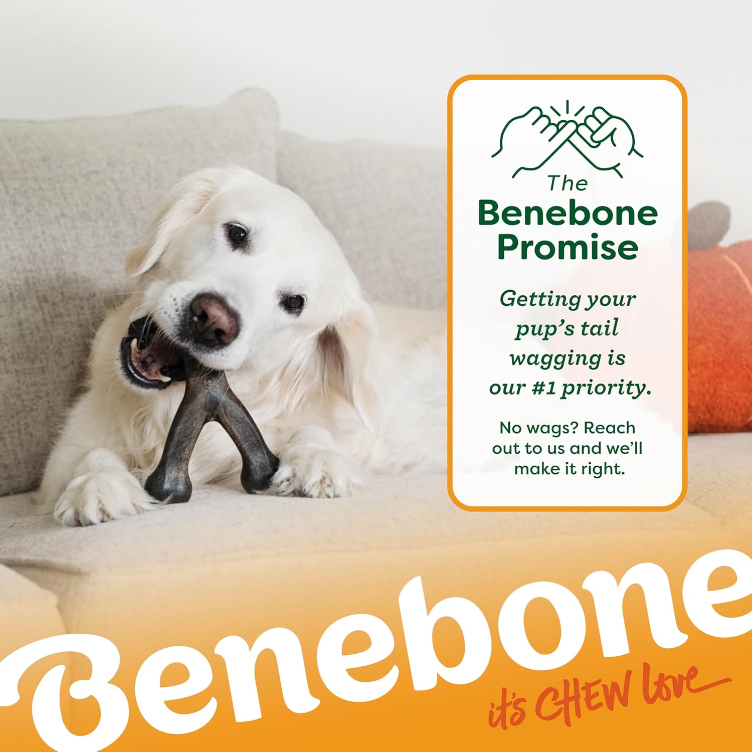 Benebone Pumpkin Spice Wishbone dog chew toy in limited edition flavor, durable and designed for strong chewers.