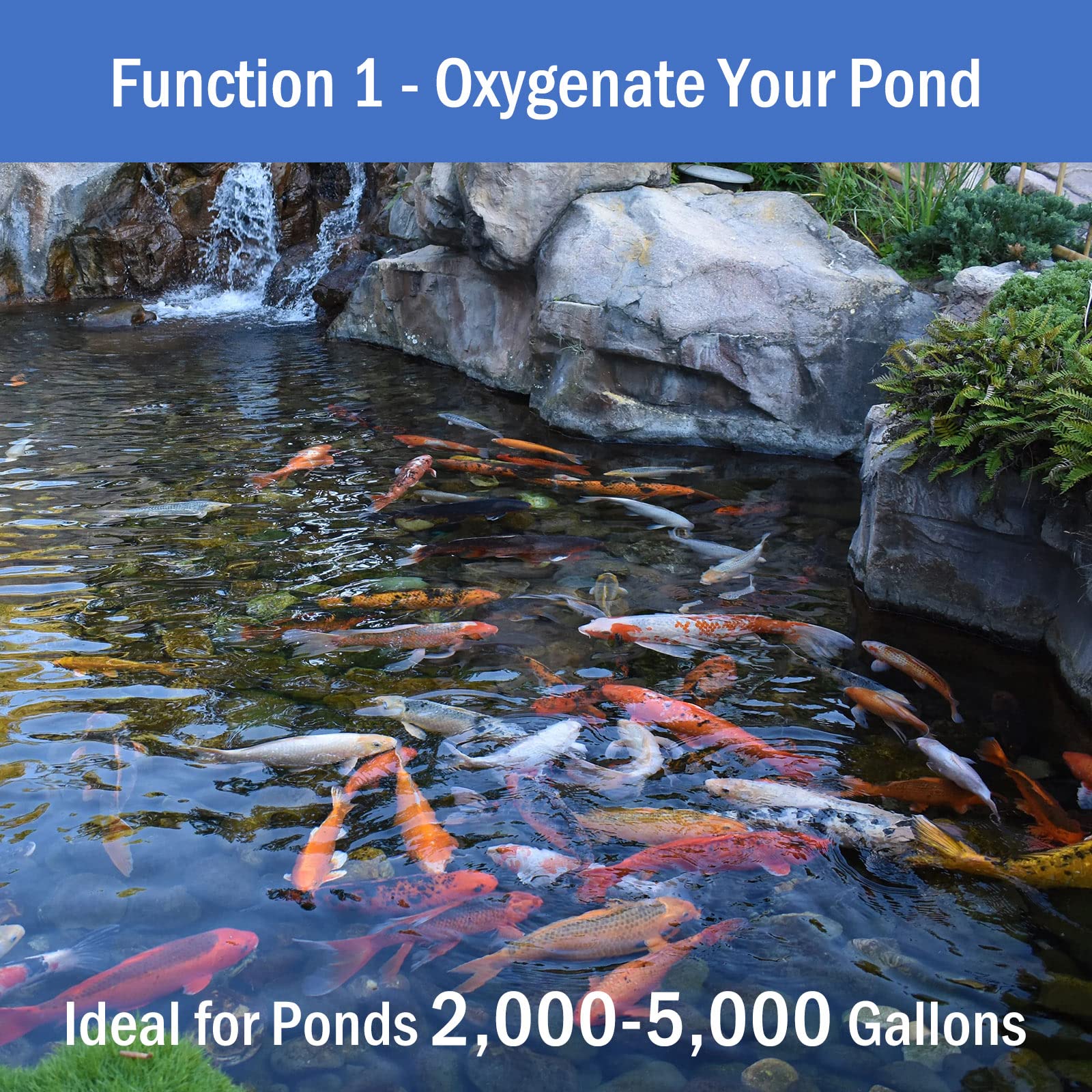 AquaMiracle All-in-One Pond Aeration System - Koi Pond Aerator wi - AquaMiracle Official Product View 6