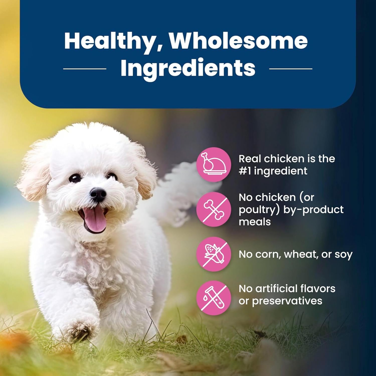Blue Buffalo Life Protection Formula small breed dry dog food in a blue bag, designed for adult small dogs' nutrition and health.