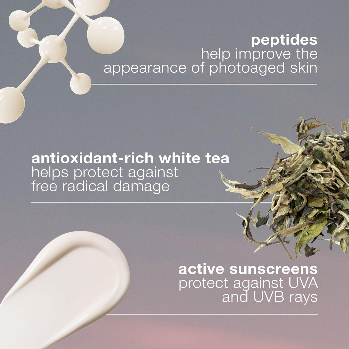 Dermalogica Dynamic Skin Recovery SPF 50 Anti Aging - Premium Selection Official Imagery - 8