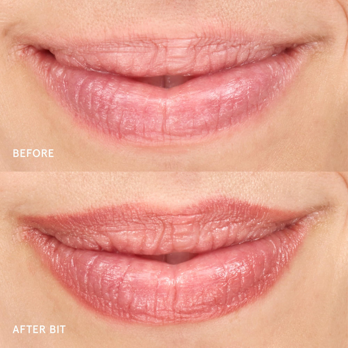 Glossier Lip Duo Black Cherry Balm Dotcom Bit Liner 2 Count - Glossier Official Imagery - 7