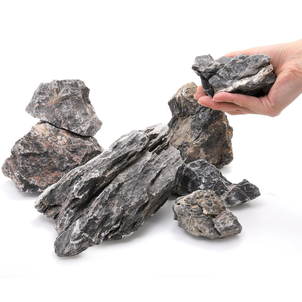 12lb Seiryu Stone Aquarium Rocks for Terrariums Paludarium - Eorbow Official Imagery - 3