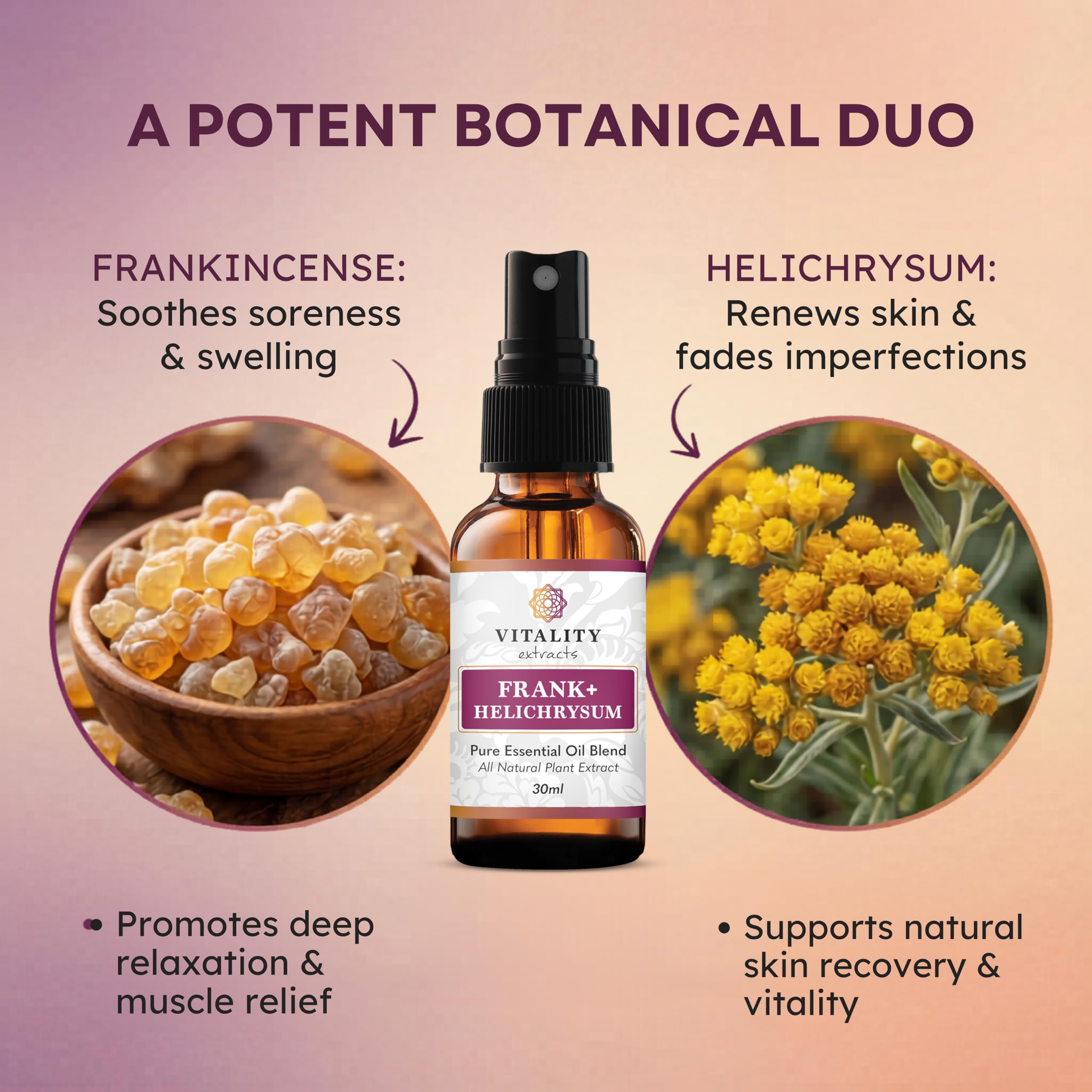 Vitality Extracts Frank Helichrysum Essential Oil Blend - Vitality Official Imagery - 3