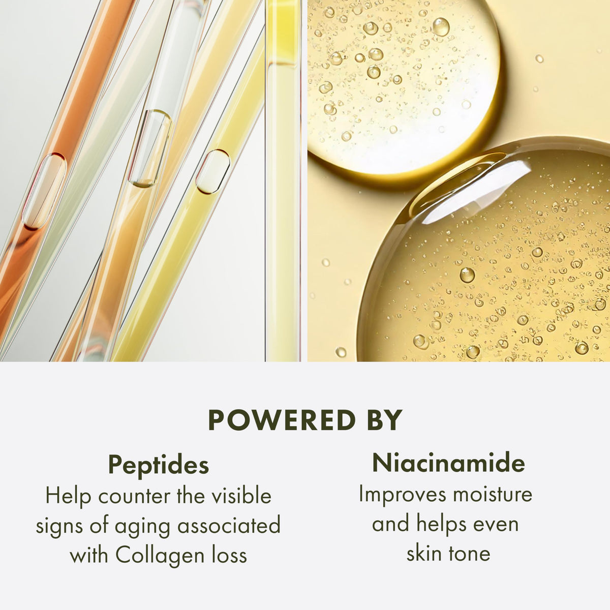 Origins Plantscription Multi Powered Youth Serum - Premium Selection Official Imagery - 6
