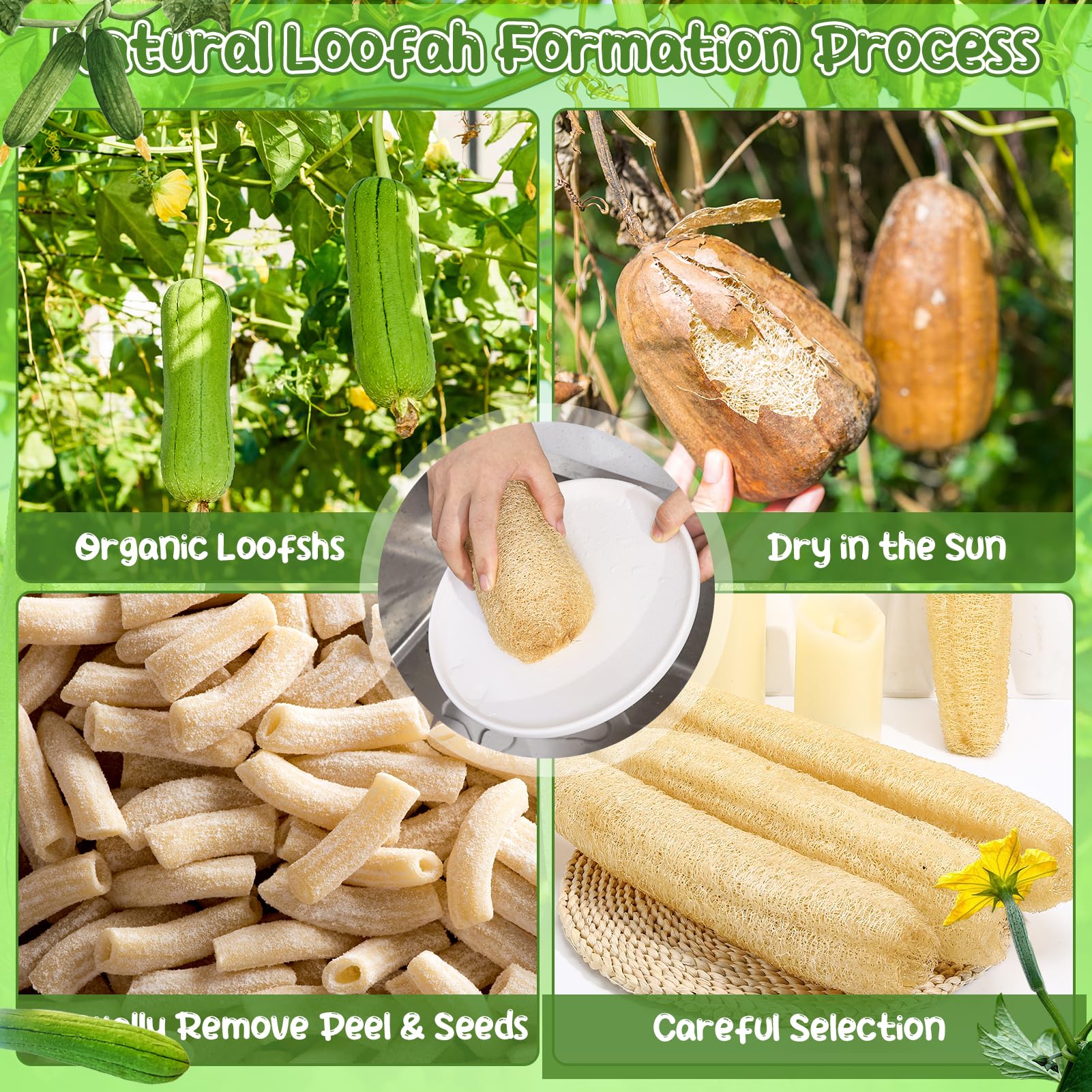 ZhouBoat Natural Loofah Sponge 13.8 - 15.7 Inches Women - ZhouBoat Official Product View 5