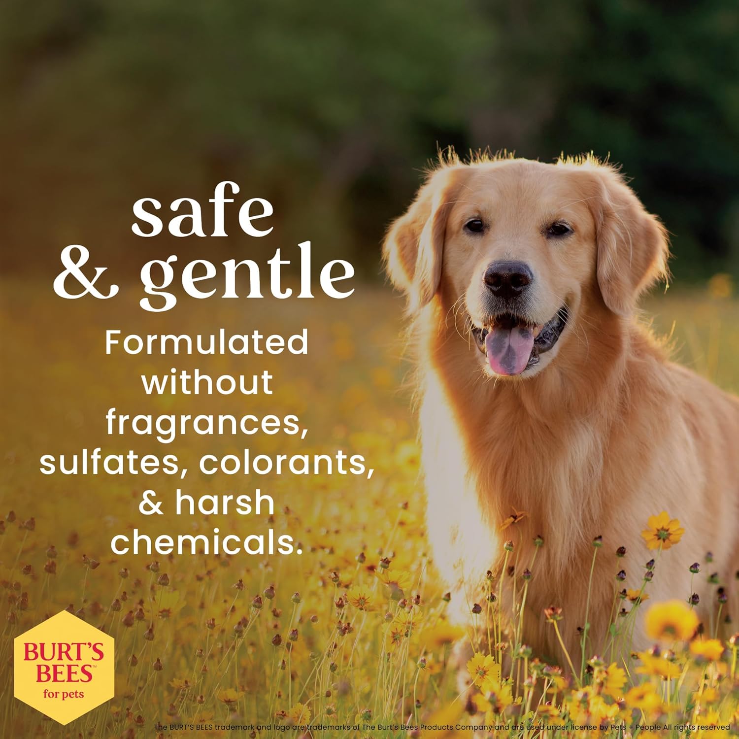 Burt's Bees for Pets Honey multipurpose dog grooming wipes with gentle, hypoallergenic formula, showing the product package.